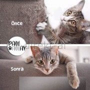 KEDİ EĞİTİM BANDI TEKYÜZ YAPIŞKANLI TIRMALAMA CAYDIRICI KOLTUK MOBİLYA KORUYUCU ŞEFFAF 25 x 45 cm 4 ADET