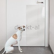 KÖPEK TIRMALAMA  KAPI MOBİLYA KORUYUCU YAPIŞKANLI FOLYO 60X85 CM